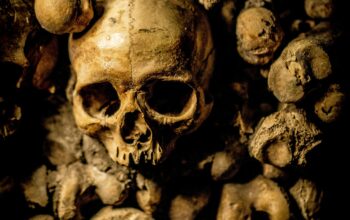 Spooky Archeology Digs